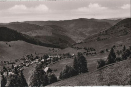 46003 - Todtnau-Todtnauberg - Blick Auf Kurort - Ca. 1955 - Todtnau