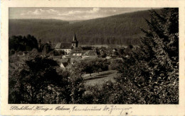 Stahlbad König Im Odenwald - Bad König
