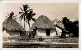 Panama - Native Homes - Panamá