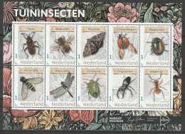 Nederland NVPH 3642 Vel Persoonlijke Zegels Tuininsecten 2024 MNH Postfris Ladybird Coccinelle - Sellos Privados