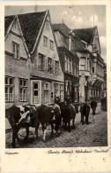 Husum - Theodor Storms Wohnhaus - Halligen