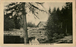 Arbersee Mit Restaurant - Regen