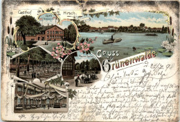 Gruss Aus Dem Grünenwalde - Litho - Schoenebeck (Elbe)