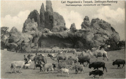 Carl Hagenbecks Tierpark Stellingen - Polarbear - Stellingen