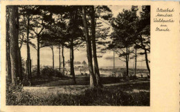 Ostseebad Arendsee - Waldpartie Am Stande - Kuehlungsborn