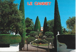 Ref ( 19959 )    Le Cannet - Le Cannet