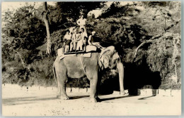 10668401 - Karatschi - Elephants