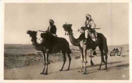 Beduinen Auf Kamel - Personnes