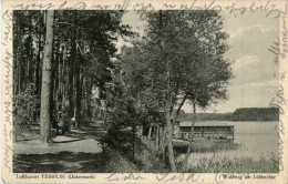 Templin - Waldweg Am Lübbe-See - Templin