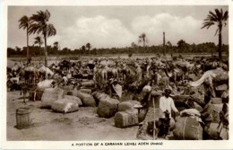 Aden - Caravan Lehej - Jemen - Yemen