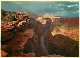 Etats Unis - Grand Canyon - View From Toroweap Overlook - Aerial View - Vue Aérienne - Etat De L'Arizona - Arizona State - Grand Canyon