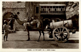 Aden - Camel Water Cart - Jemen - Yemen