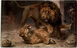 Löwen - Lions - Leones