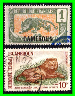 CAMERUN ( AFRIKA )  2 SELLOS DIFERENTES VALORES - Camerun (1960-...)