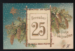 Weihnachtsstern Reisig Tannenzapfen Kalender, Frohe Weihnachten Stubenberg 1902 - Hold To Light