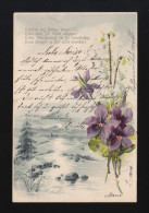 Ueberall Auf Deinen Wegen, Trete Stes Dir Glück Entgegen Strauß, Bamberg 02.1901 - Tegenlichtkaarten, Hold To Light