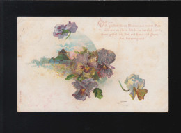 Stiefmütterchen, Dich Grüssen Diese Blumen Aus Weiter Ferne, Bonn 24.11.1900 - Tegenlichtkaarten, Hold To Light