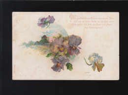 Stiefmütterchen, Dich Grüssen Diese Blumen Aus Weiter Ferne, Bonn 24.11.1900 - Controluce