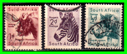 AFRIKA ( SUID AFRIKA ) 3 SELLOS DIFERENTES AÑOS Y VALORES VALORES - Used Stamps