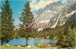CPA Les Alpes En Couleurs Naturelles Lac A Truites En Haute Montagne - Myrtle Beach