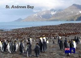 Antarctica South Georgia St. Andrews Bay New Postcard - Autres & Non Classés