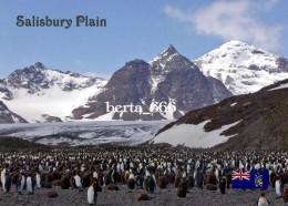 Antarctica South Georgia Salisbury Plain New Postcard - Andere & Zonder Classificatie