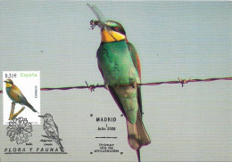 SPAIN. MAXICARD FIRST DAY. COMMON BEE-EATER. BIRD. 2008 - Maximumkarten