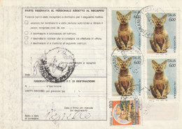 BOLLETTINO POSTALE - REPUBBLICA (COME DA SCANSIONE) ALB. - Postal Parcels