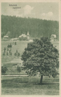 Jagdschloss Rehefeld Im Erzgebirge Gl1924 #109.545 - Châteaux