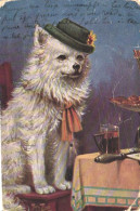 Arthur Thiele:Dog Siting On Chair With Hat And Tie, Pre 1910 - Thiele, Arthur