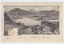 39048001 - Lithographie Tegernsee. Gruss Vom Restaurant Pfliegelhof. Ungelaufen. Sehr Gute Erhaltung. - Bad Wiessee