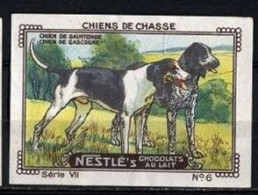 Nestlé (1920's) - VII - Chiens De Chasse, Hunting Dogs - 6 - Chien De Saintonge, Chien De Gascogne - Nestlé