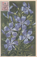 Carte Maximum Belgique 816 Œuvres Antituberculeuses Fleur Flower Pervenche 1950 - 1934-1951