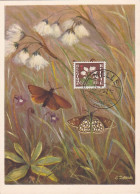 Carte Maximum Belgique 835 Œuvres Antituberculeuses Fleur Flower Linaigrette 1951 - 1934-1951