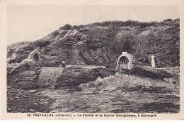 44 PREFAILLES - La Falaise Et La Source Ferrugineuse, à Quirouard - Préfailles
