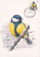 Carte Maximum Belgique Oiseau Bird Buzin 2460 Mésange 1992 - 1991-2000