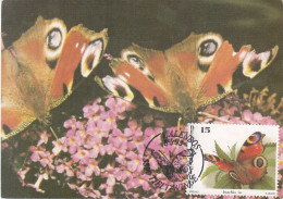 Carte Maximum Belgique Papillon Butterfly Buzin 2505 Inachis Io 1993 - 1991-2000