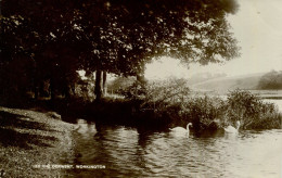 CUMBRIA - WORKINGTON, ON THE DERWENT RP Cu1485 - Sonstige & Ohne Zuordnung