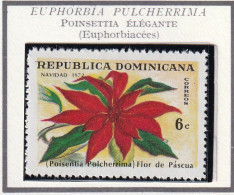 REPUBLIQUE DOMINICAINE - Fleur, Poinsettia élégante, Noël - 1973 - MNH - República Dominicana