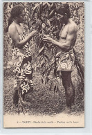 TAHITI - Récolte De La Vanille - Harvesting Vanilla - Ed. R.P. 8 - Polynésie Française