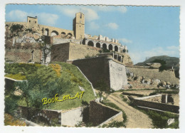 {91410} 04 Alpes De Haute Provence Sisteron , La Citadelle - Sisteron