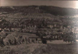 50742 - Bad Blankenburg - Blick Zur Ruine Greifenstein - 1968 - Bad Blankenburg