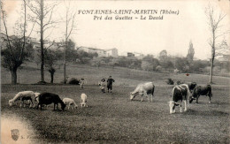 Fontaines-Saint-Martin Canton Neuville-sur-Saône Pré Des Guettes Le David Vache Cow Beef Rhône 69270 Cpa Voyagée B.Etat - Autres & Non Classés