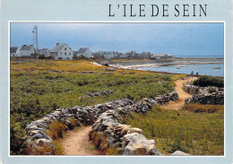 29 - L'Ile De Sein - Promenade Sur Les Sentiers - Ile De Sein