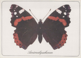 FARFALLA Animale Vintage Cartolina CPSM #PBS430.IT - Butterflies