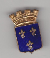 Pin's  à Vrai Dire Broche Association De L' Ile De France à Versailles Réf 8168 - Associazioni