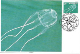 AUSTRALIE. Box Jellyfish (méduse-boîte Venimeuse)  CARTE MAXIMUM  (Marine Life) - Marine Life