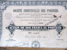 SOCIETE INDUSTRIELLE DES PYRENNEES - ACTIONS DE 100 FRANCS - LOT DE 11 - Industrie