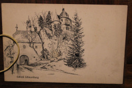AK 1900's Cpa Gruss Aus Gruß Schloss Schaumburg  Litho - Autres & Non Classés