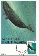 AUSTRALIE. Baleine Franche Australe CARTE MAXIMUM  (Australian Whales) - Whales